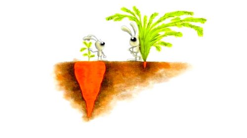 Описание понятия ПОНТЫ